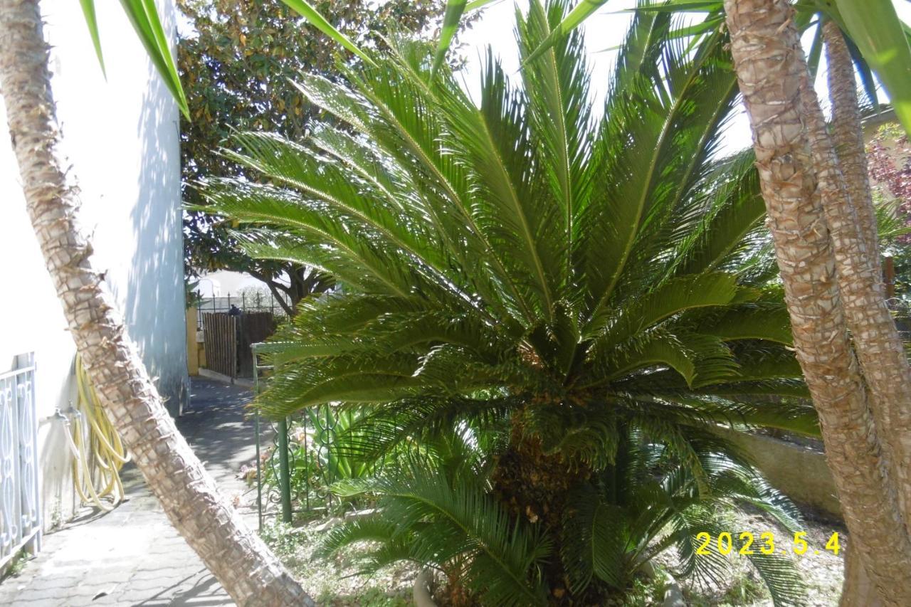 Rez De Chaussee Studio Climatise Dans Villa Aigues-Mortes Ngoại thất bức ảnh